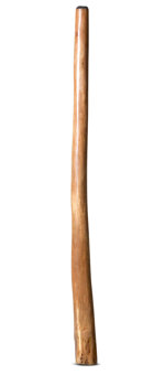 Jesse Lethbridge Didgeridoo (JL137)